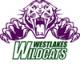 Westlakes Wildcats FC's Avatar